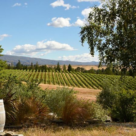 Bed and Breakfast Grey Ridge Vineyard Experience Александра Экстерьер фото