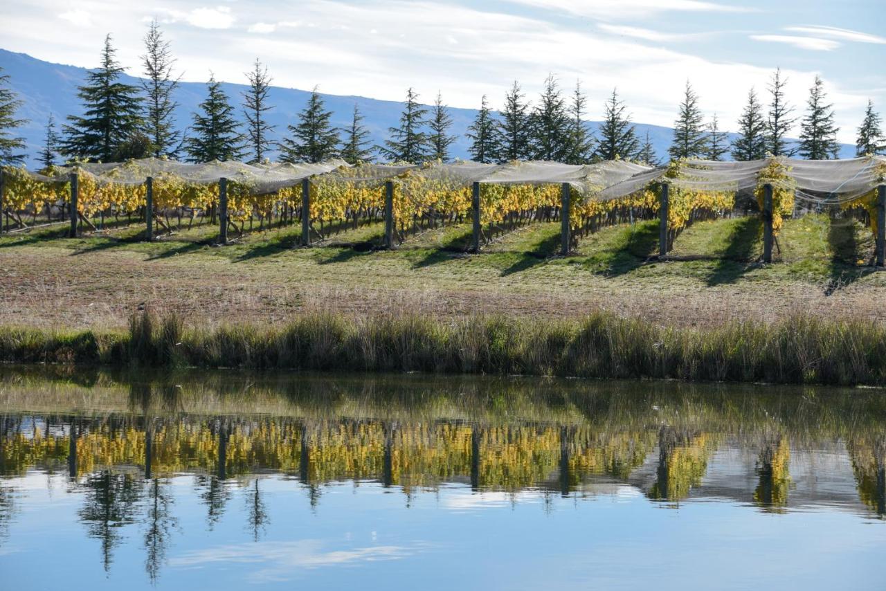 Bed and Breakfast Grey Ridge Vineyard Experience Александра Экстерьер фото