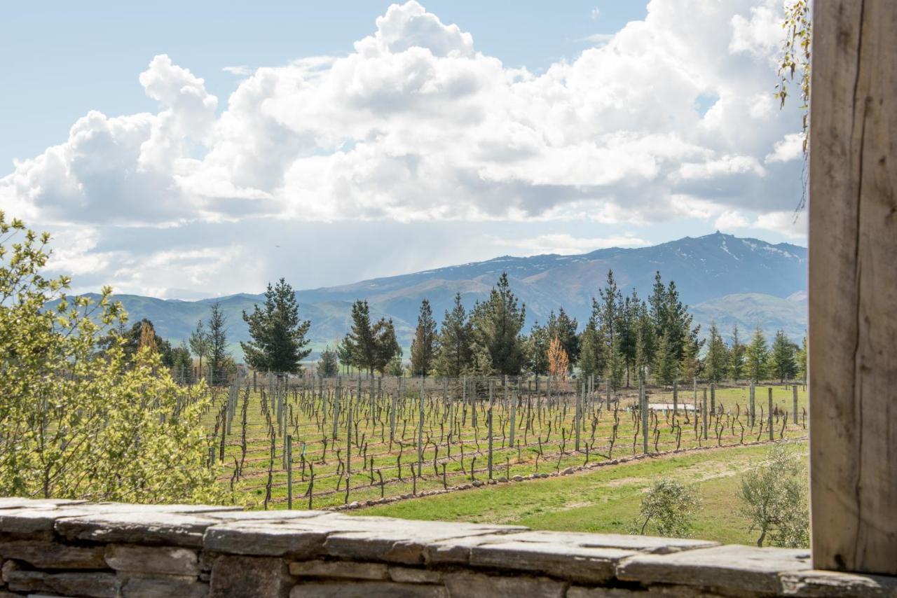 Bed and Breakfast Grey Ridge Vineyard Experience Александра Экстерьер фото